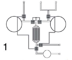 Sample operation of squeeze-chip used in colorimetric assay.