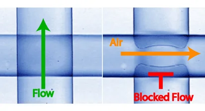Microvalves_tab.jpg