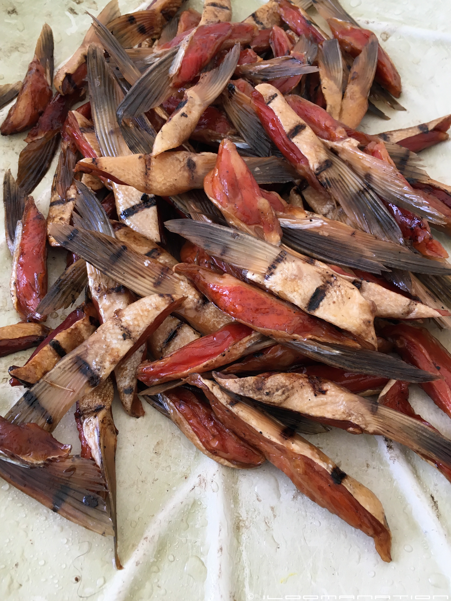 grilled salmon snacks