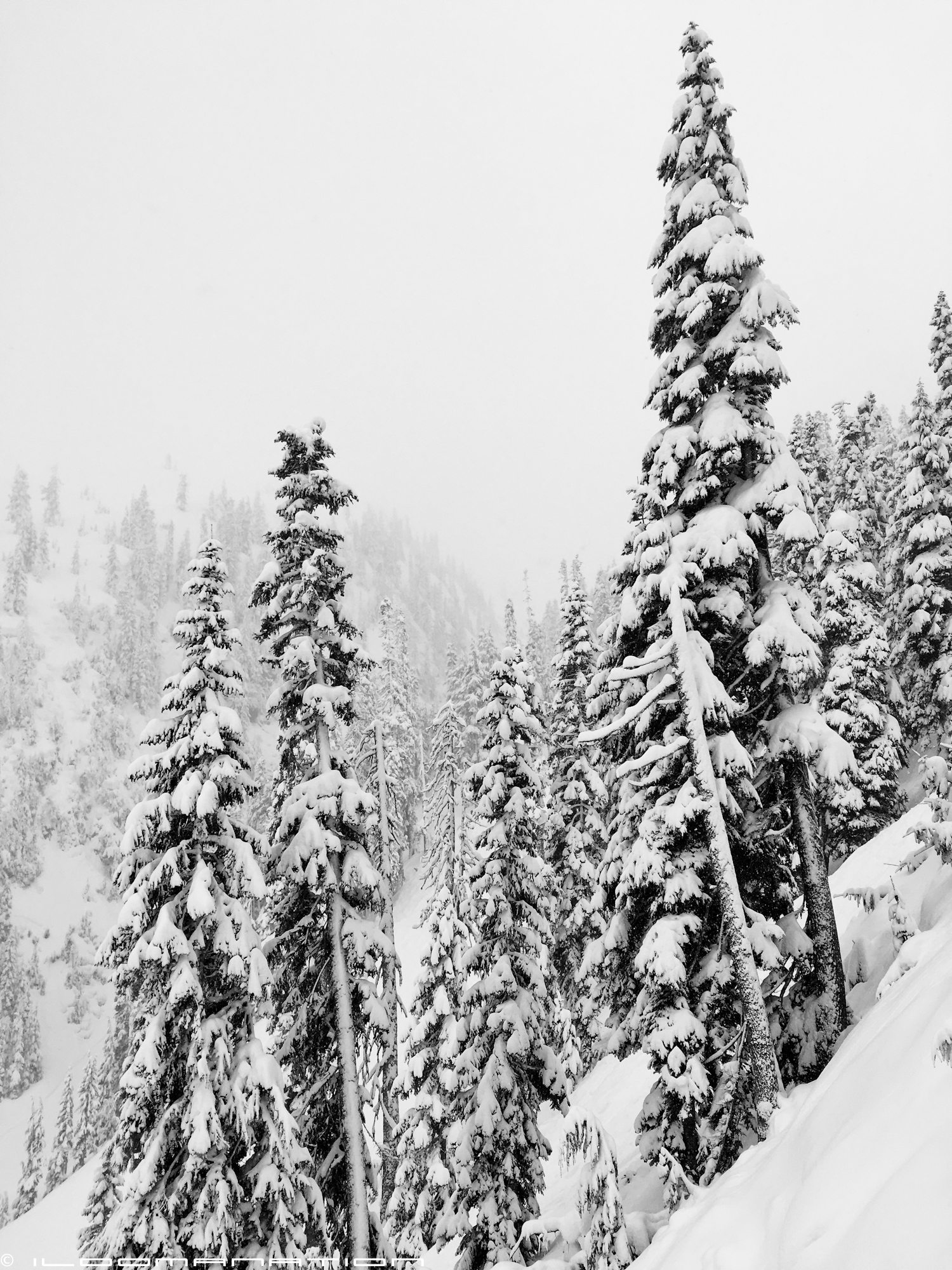 the views on the way up chair six.