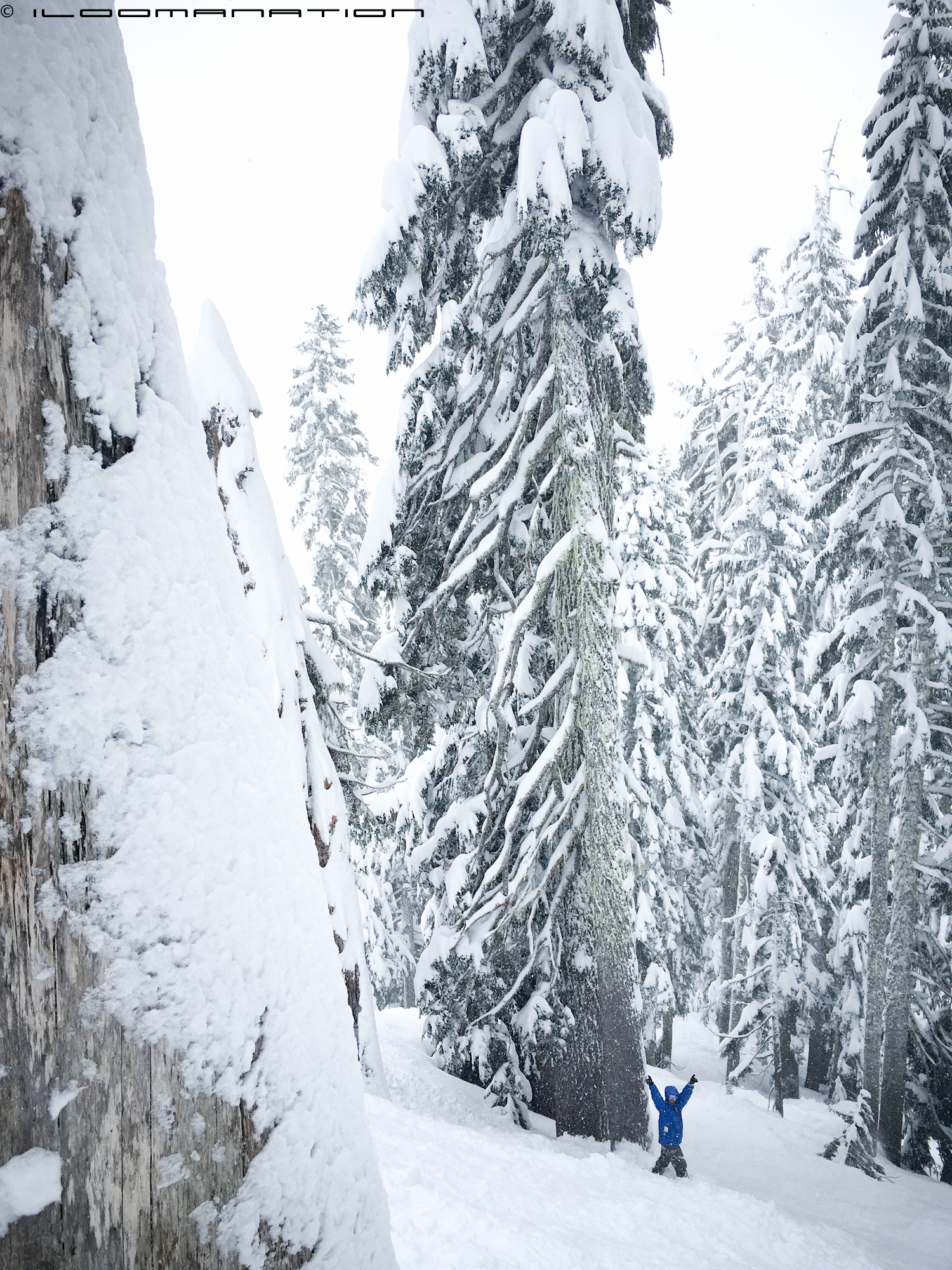 riding amongst giants.