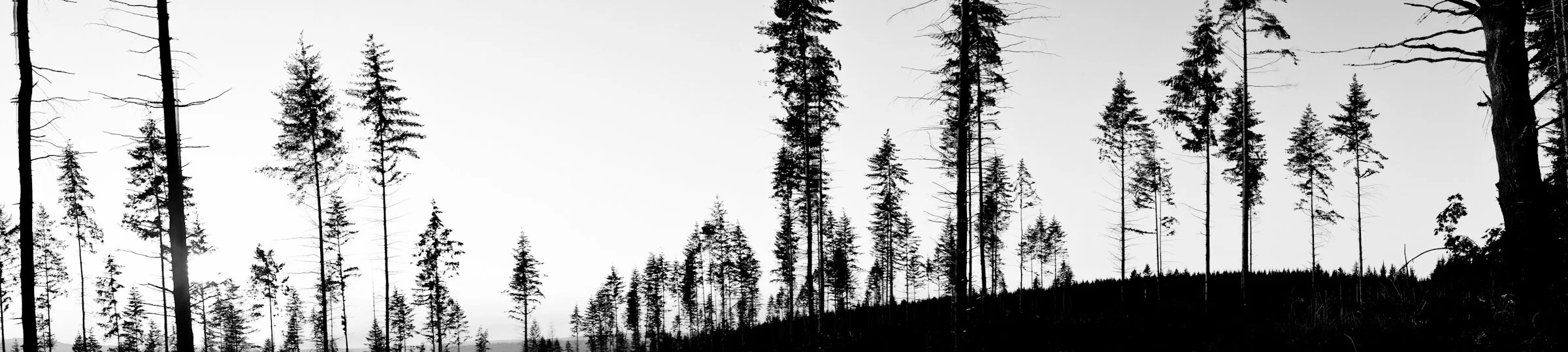DSCF0225.jpg