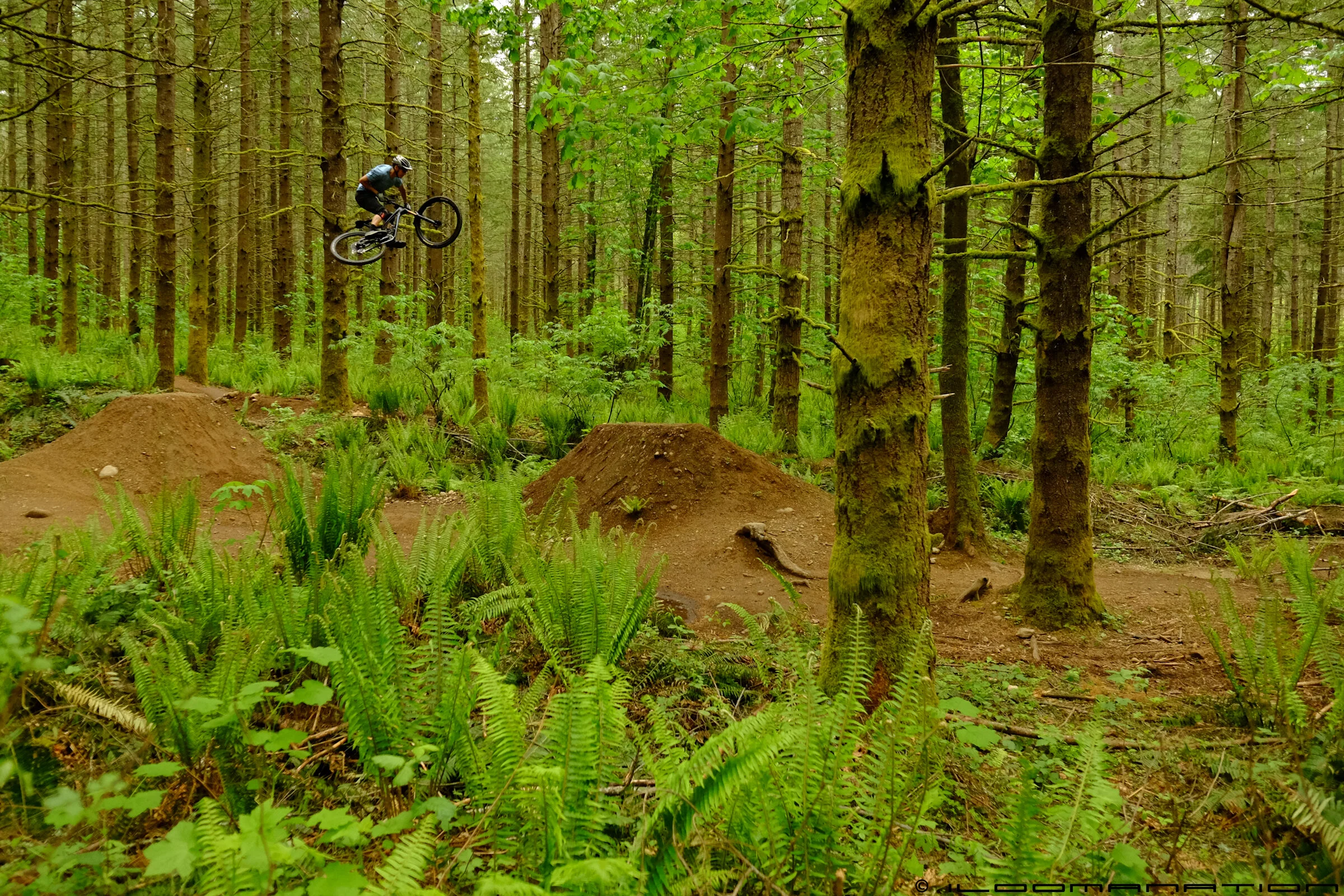 DSCF9579.jpg