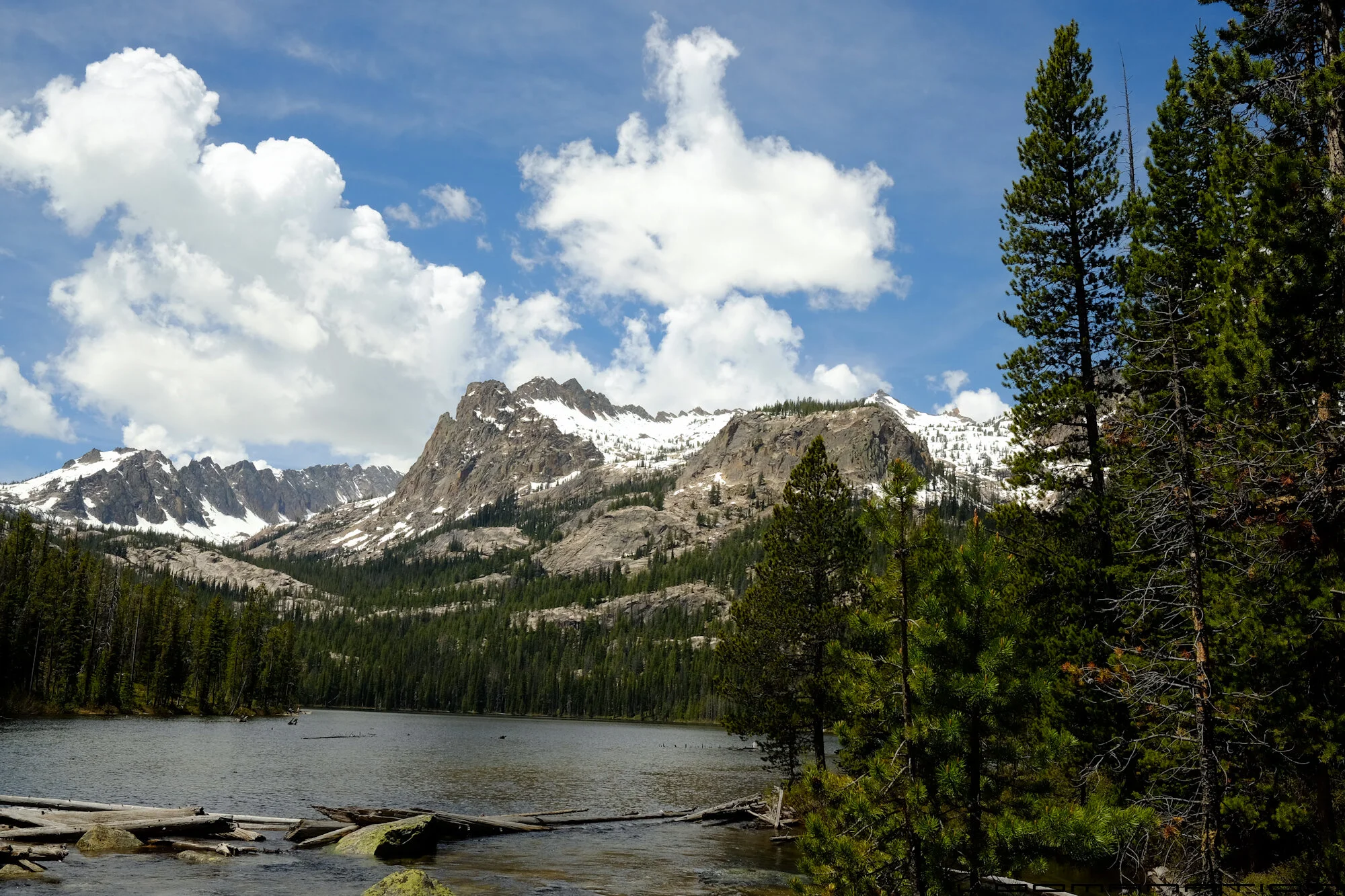 DSCF9610.jpg