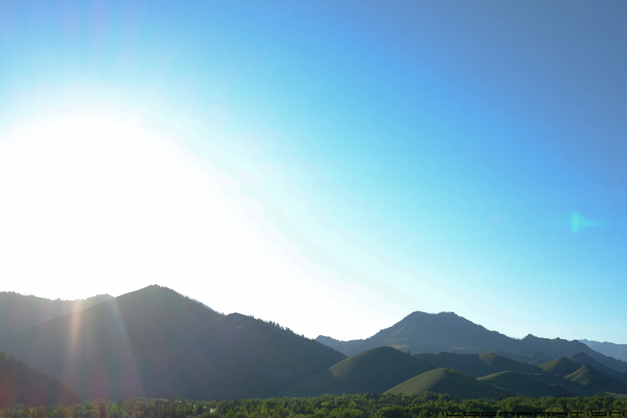 DSCF9701.jpg