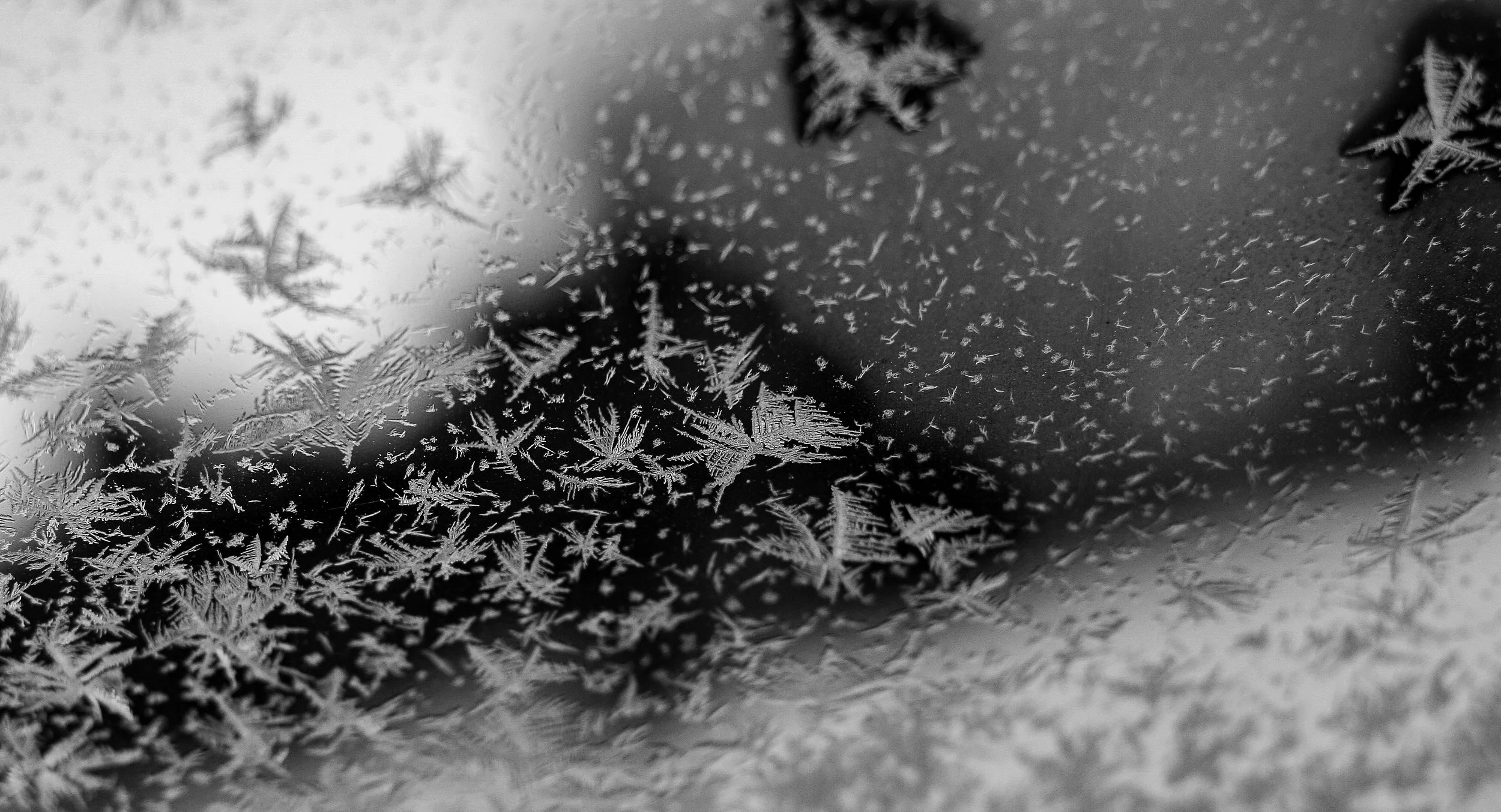 COsnowflake-2.jpg