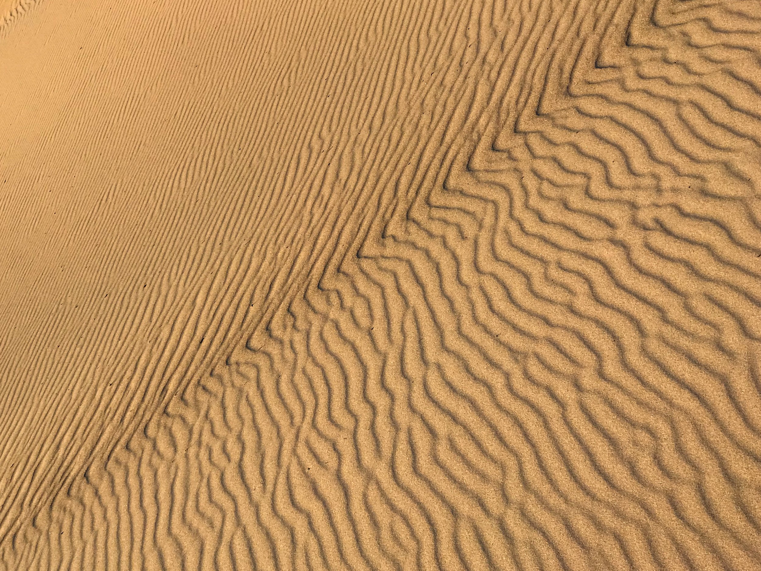 IMG_5814.jpg