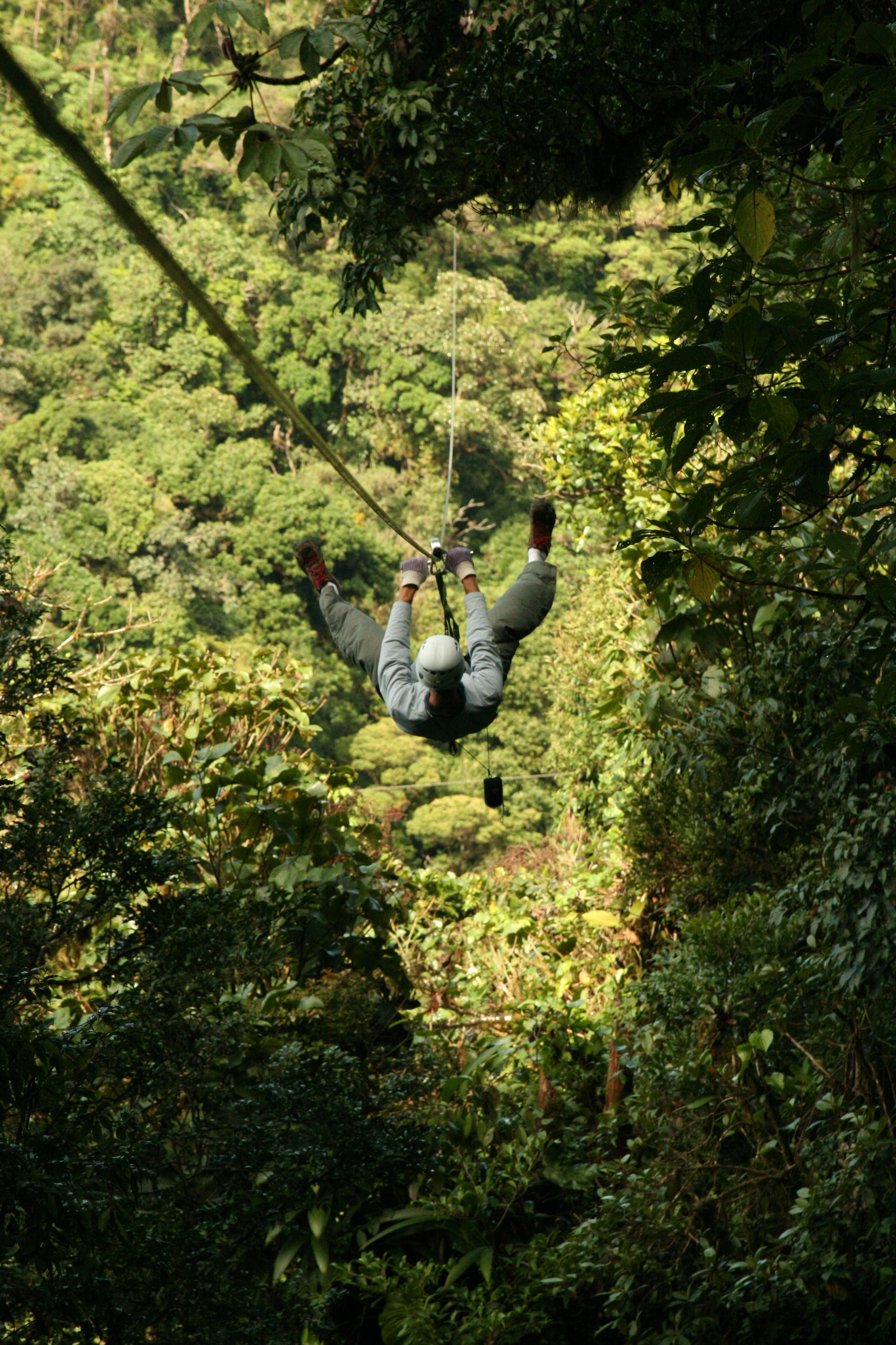 The zip-lines in Costa Rica where David experienced a “big-world, small-world” moment, as described in minute 113:25 of the interview.