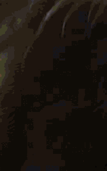 ffnew.gif