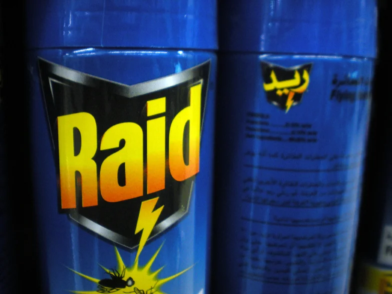 raid.jpg