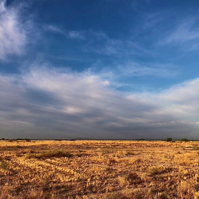 I&rsquo;m thankful that I can run out into a space like this and unthink everything. No coyote friend this morning though, hope she&rsquo;s okay. Got my miles in but also my mental clarity.  Lots to do.