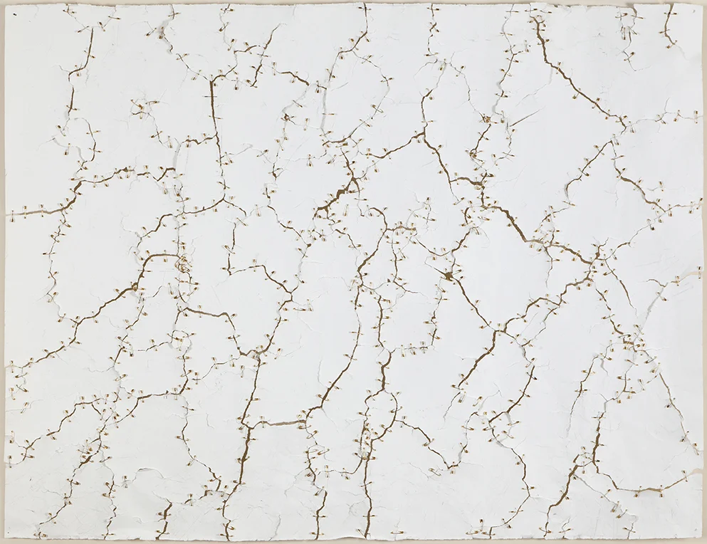   Drawing with a bullwhip, 2,  2008 37.5 x 50 inches Paper and safety pins&nbsp; 
