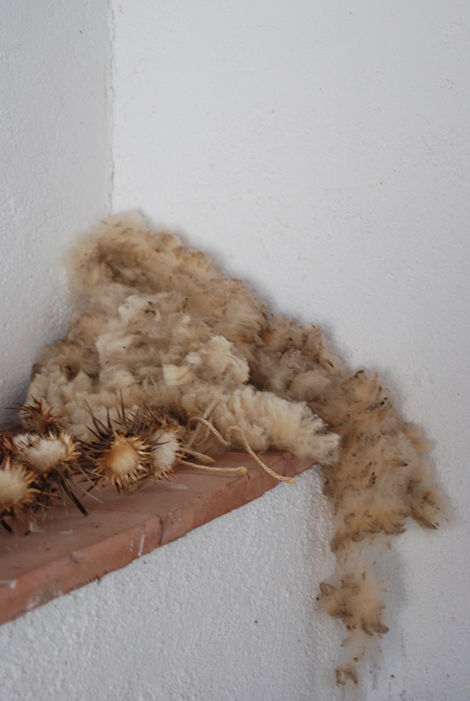 Flycarpetwool.jpg