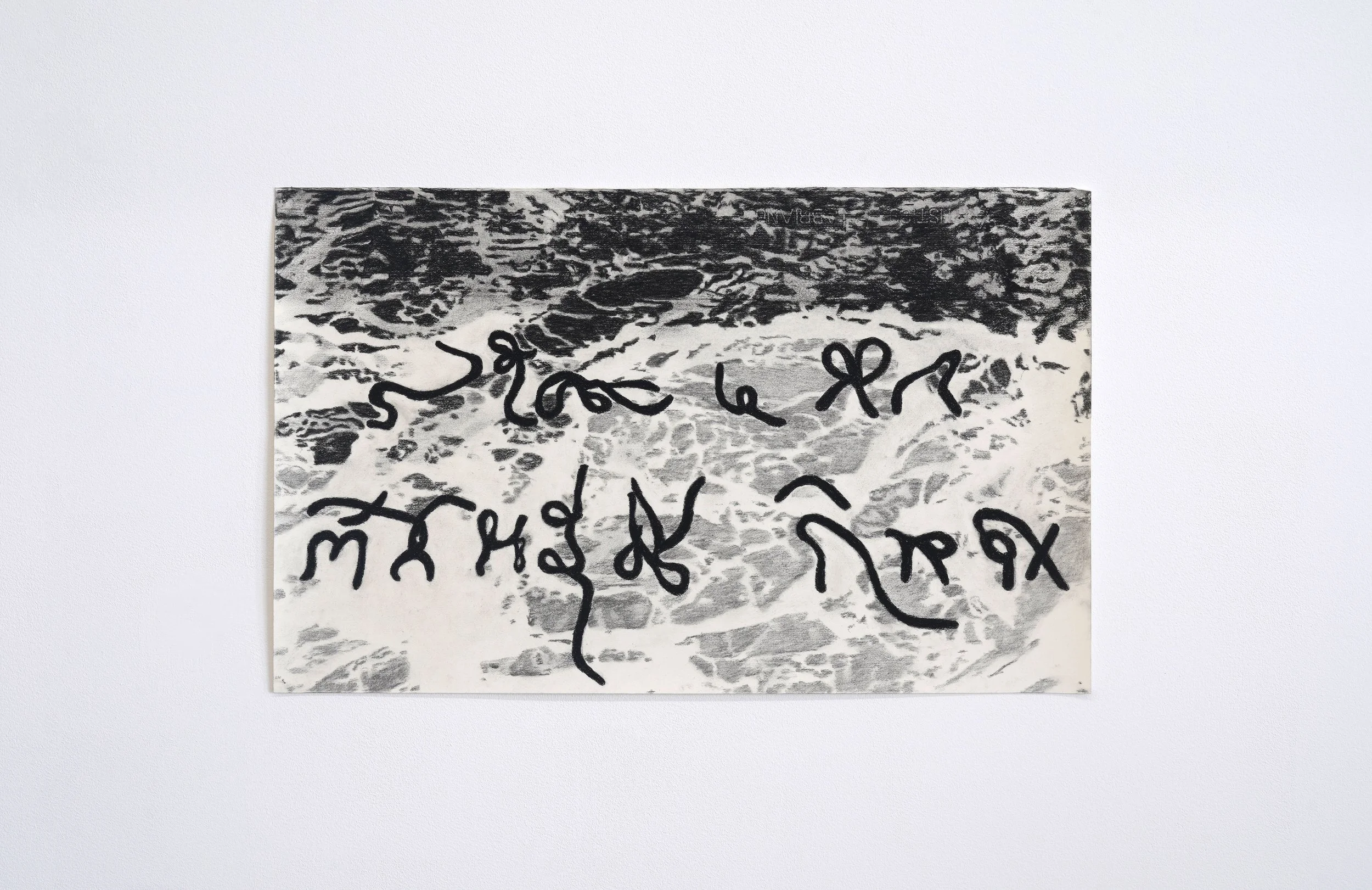   TD 6,  2023 14.5 x 23.5 in Charcoal on paper 