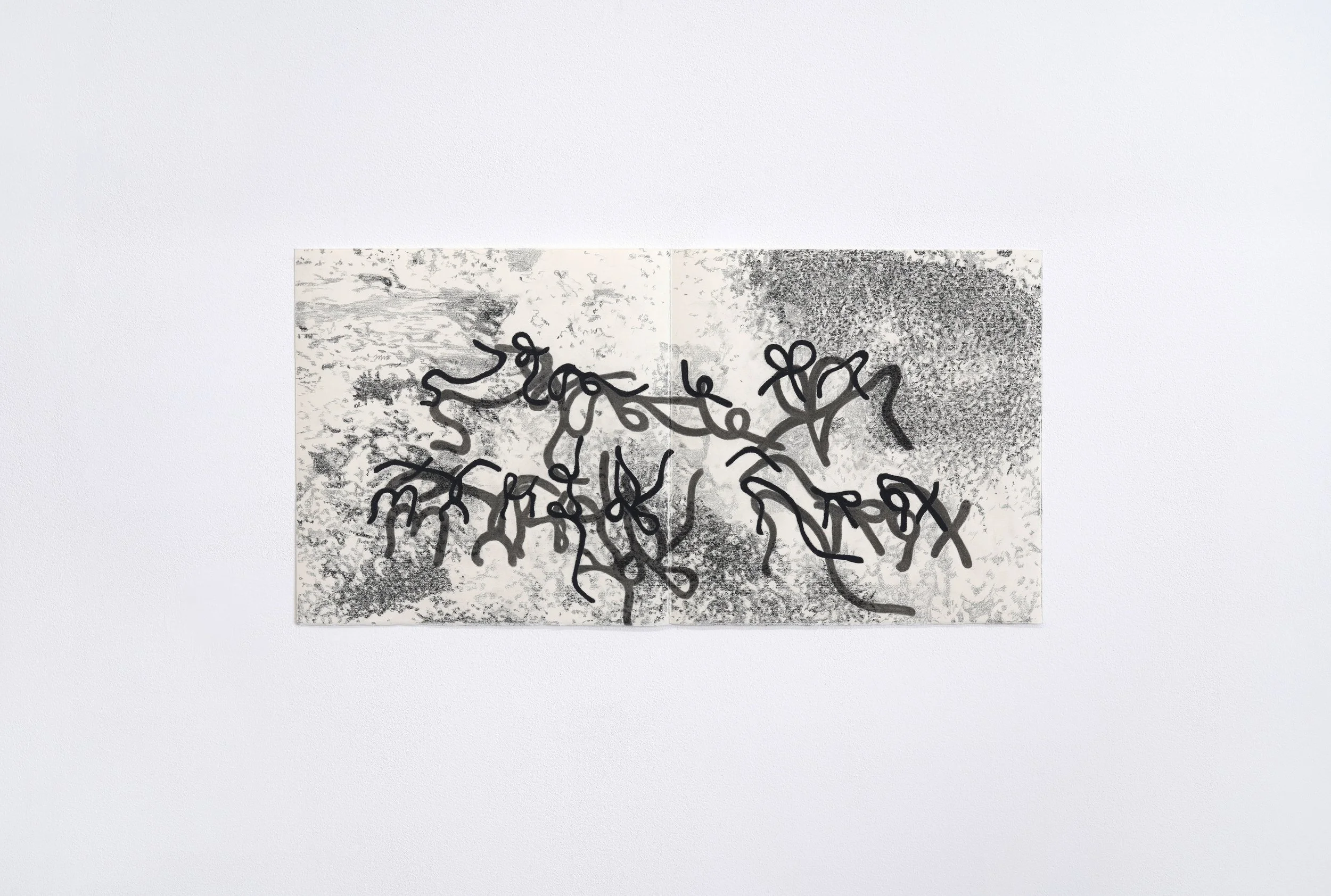   TD 7,  2023 11.75 x 23.5 in Charcoal on paper 