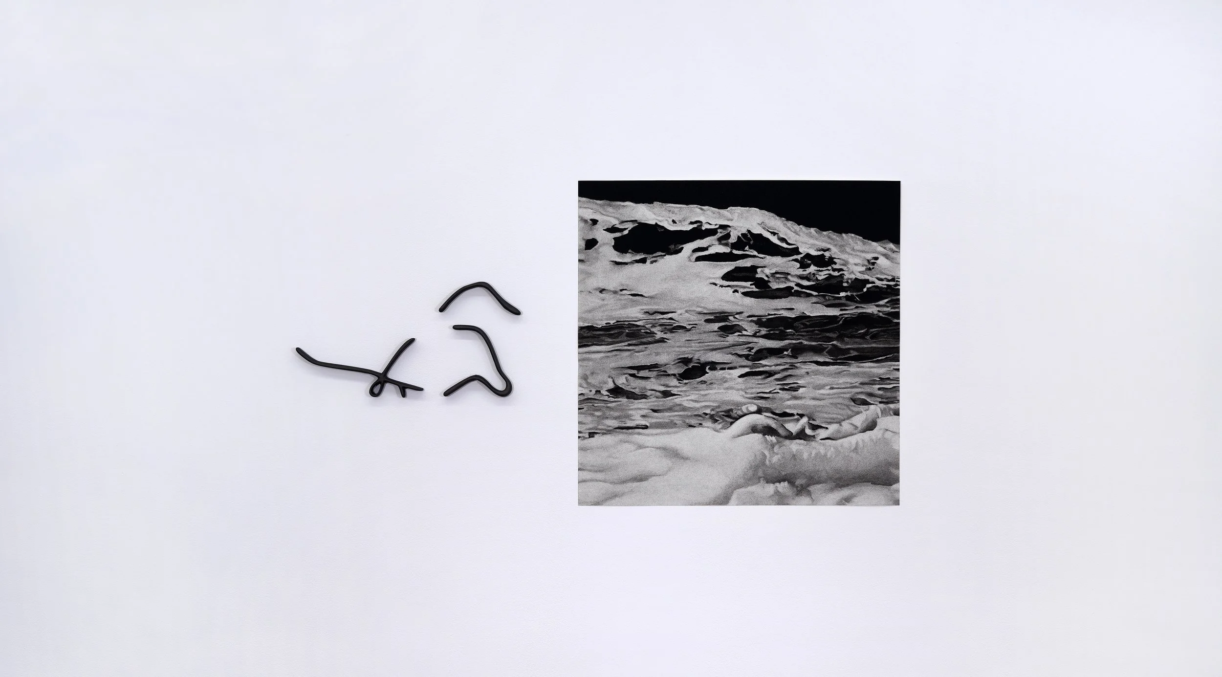   TD 13,  2023 22 × 41 inches Charcoal on paper, acrylic on prepared board 