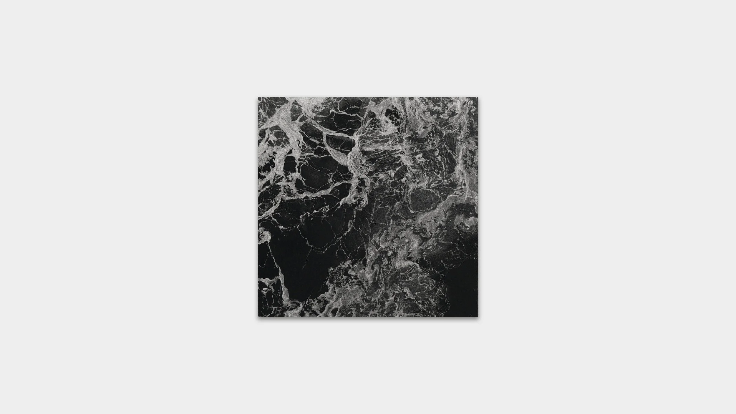   TD 17 , 2026 20 × 20 inches each Charcoal on paper 