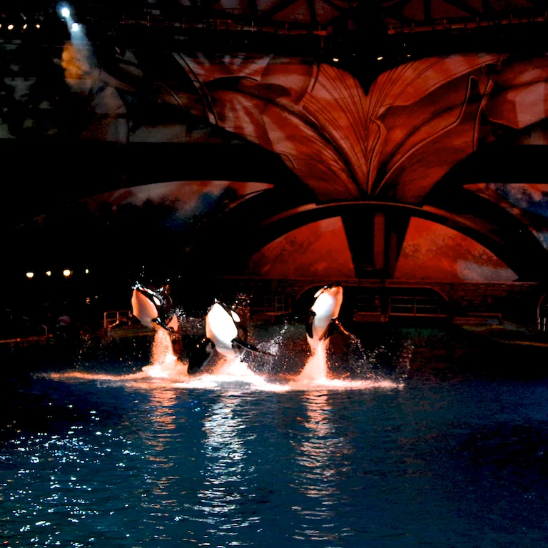20091024_SRC2009_Camera1_1371.jpg