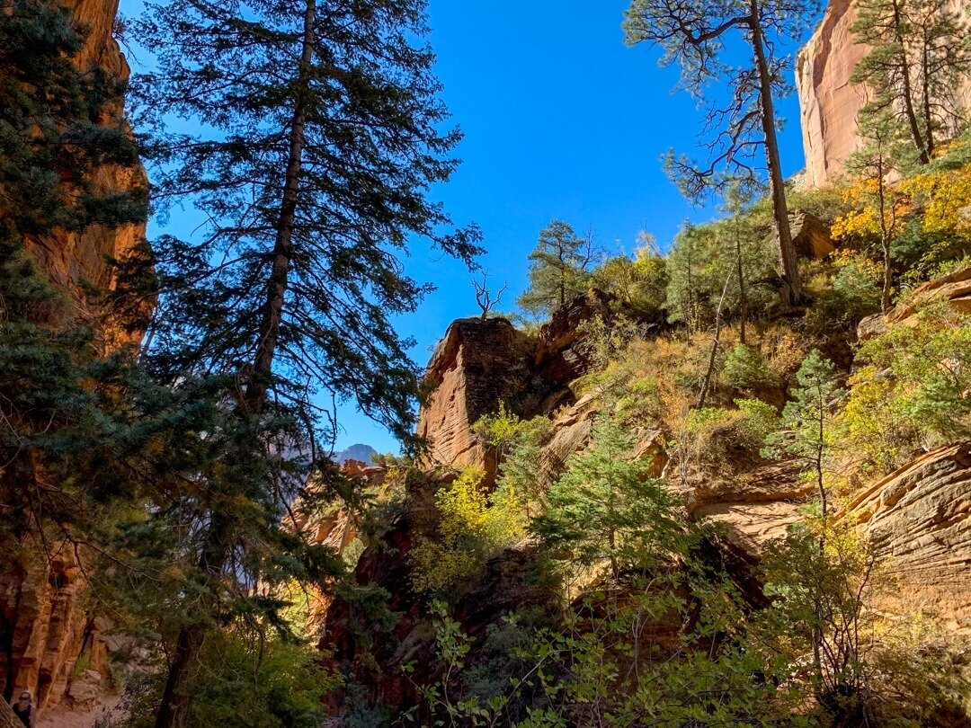 Daydreaming about the fresh air and blue skies of  @zionnps⁠
⁠