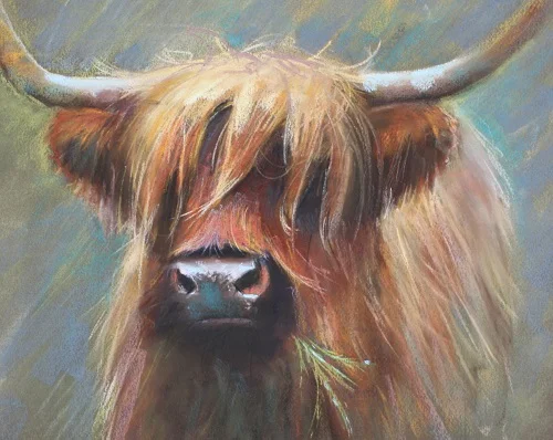 Bad Hair Day.