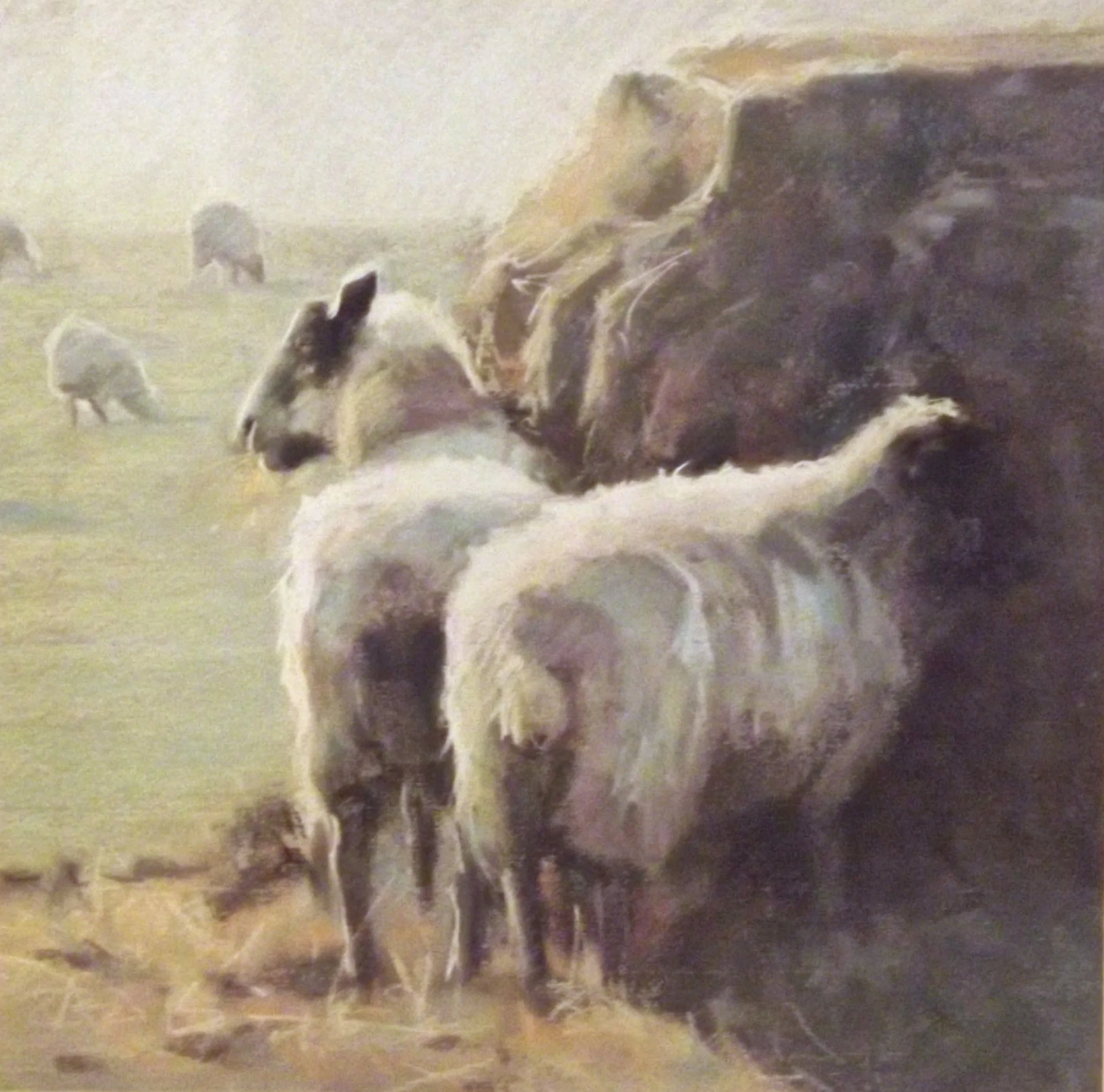 Sheep by the Hay