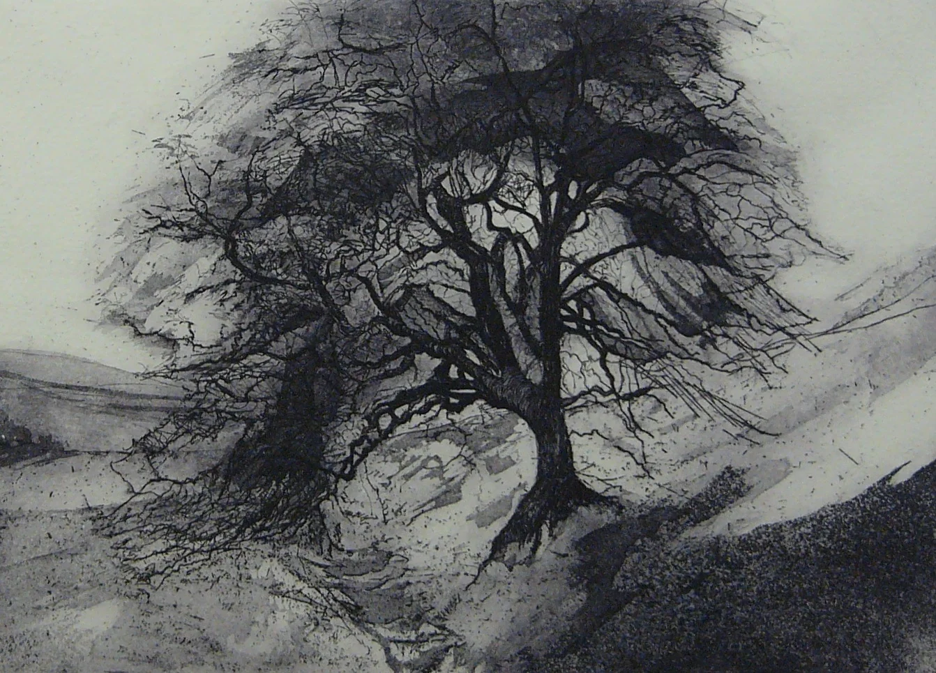 Sunday Hawthorn