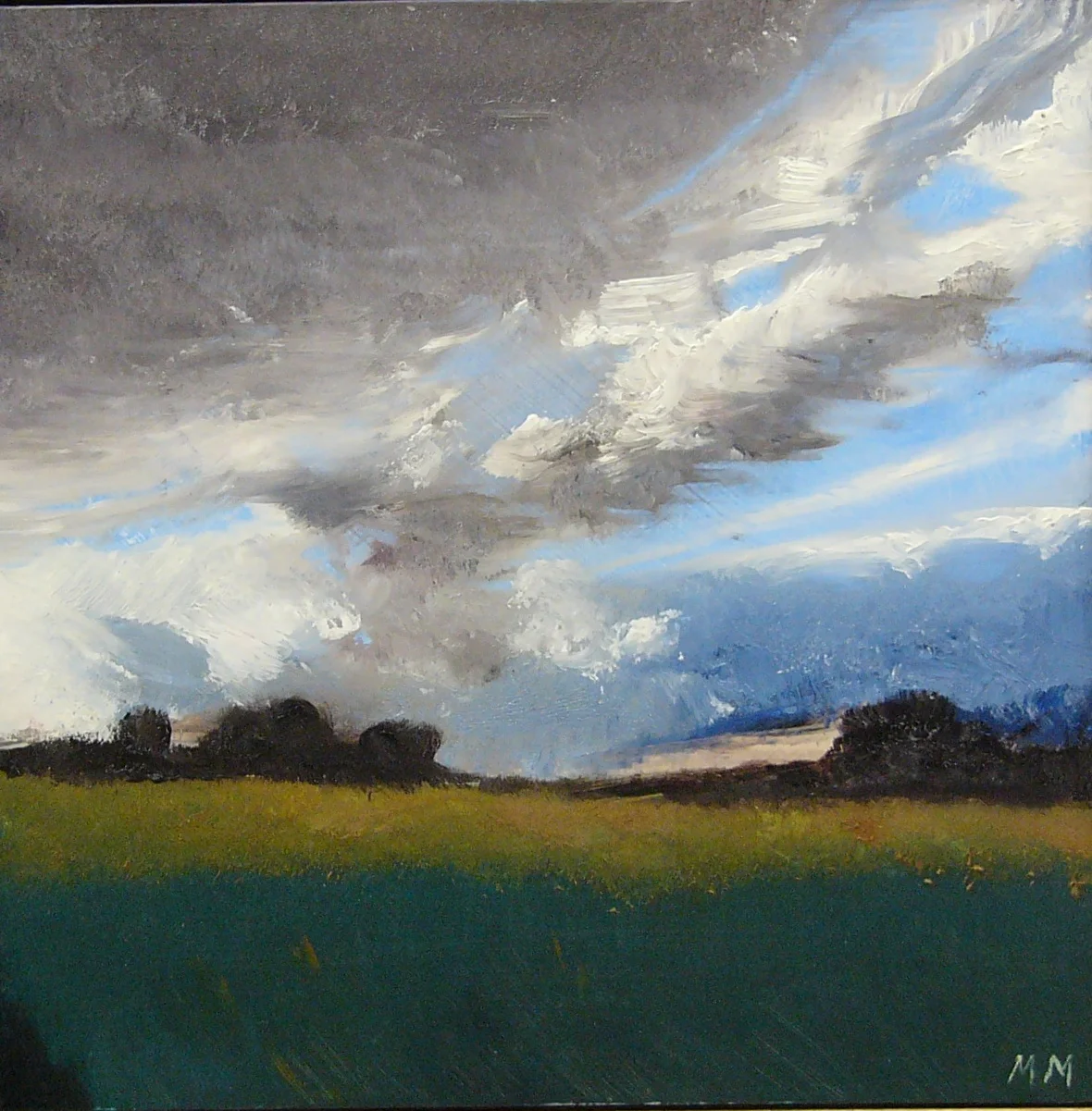 Dark Cloud Over the Meadow