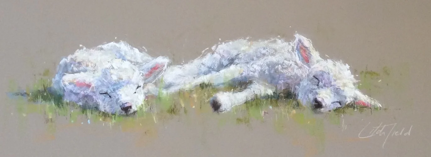 Springtime Slumber