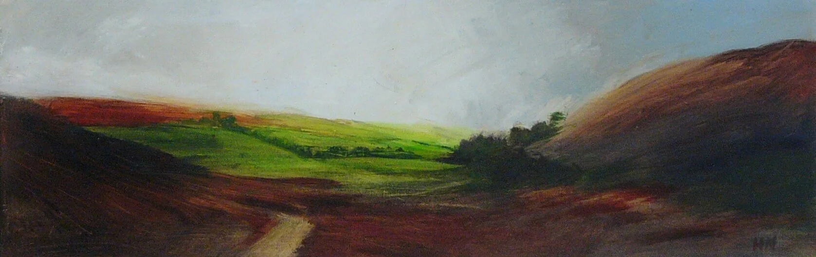 Darkening Skies