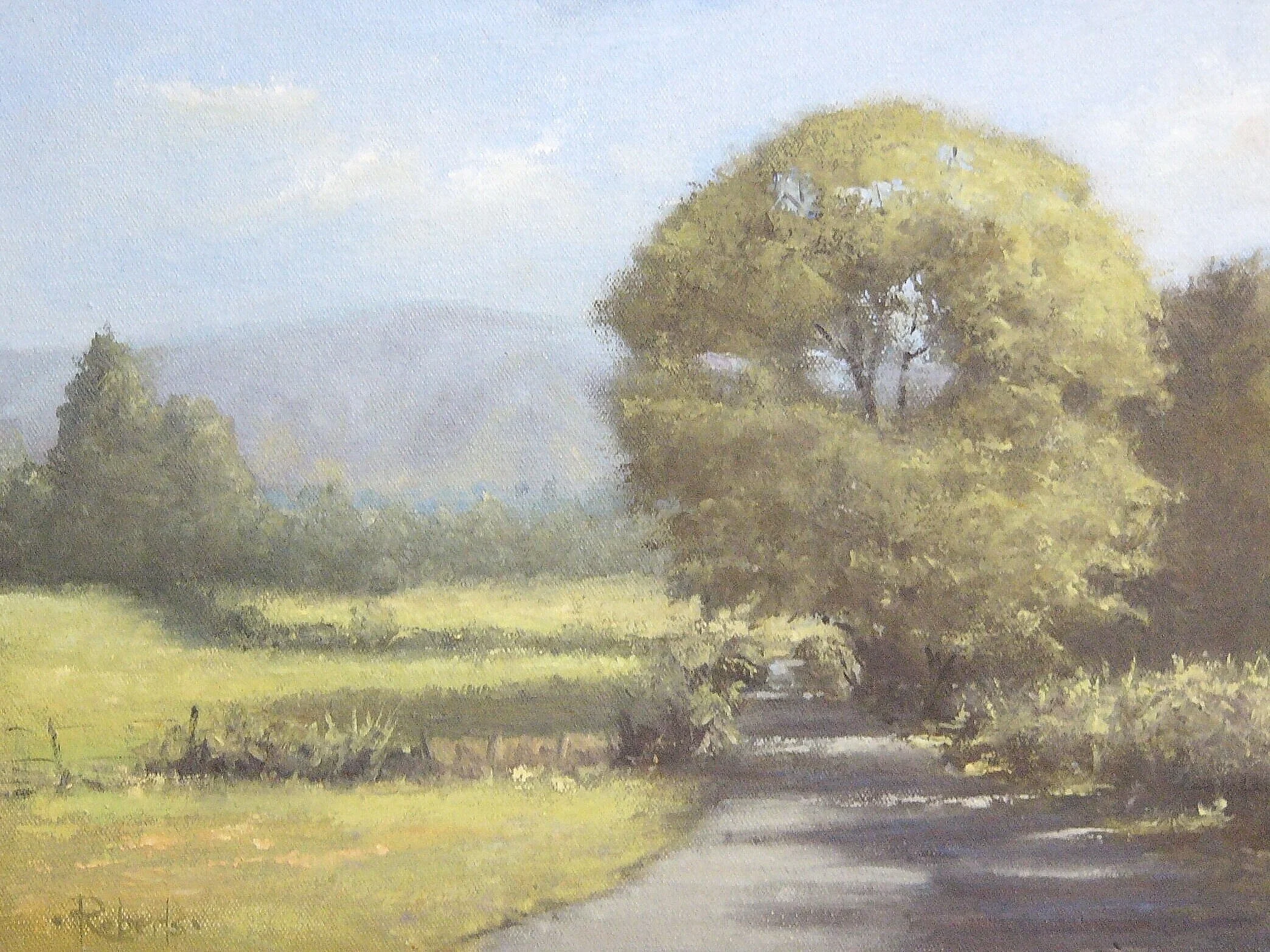 Morning Sunlight  - Birks Lane Sebergh