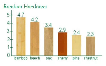 The Secret Reason for Bamboo's Strength