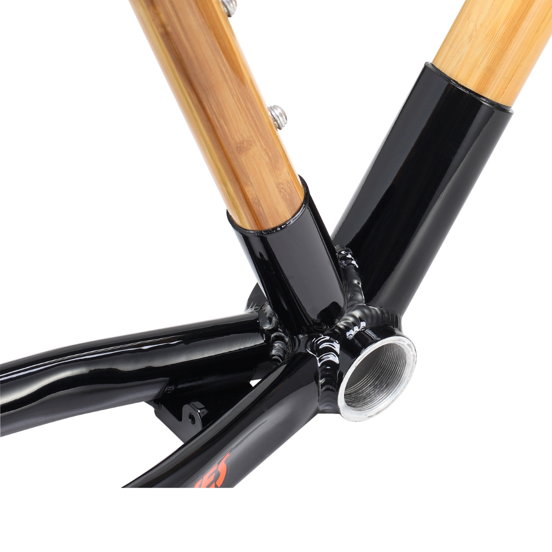 Frame closeup EcoCross 2021 kickstand plate.png