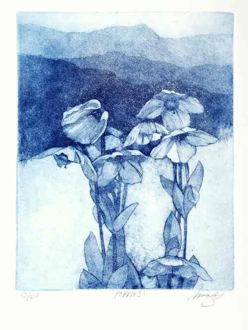 'Poppies' etching/aquatint 21 x 16 cm unframed £