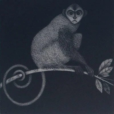 Harris-monkey_2644.jpg