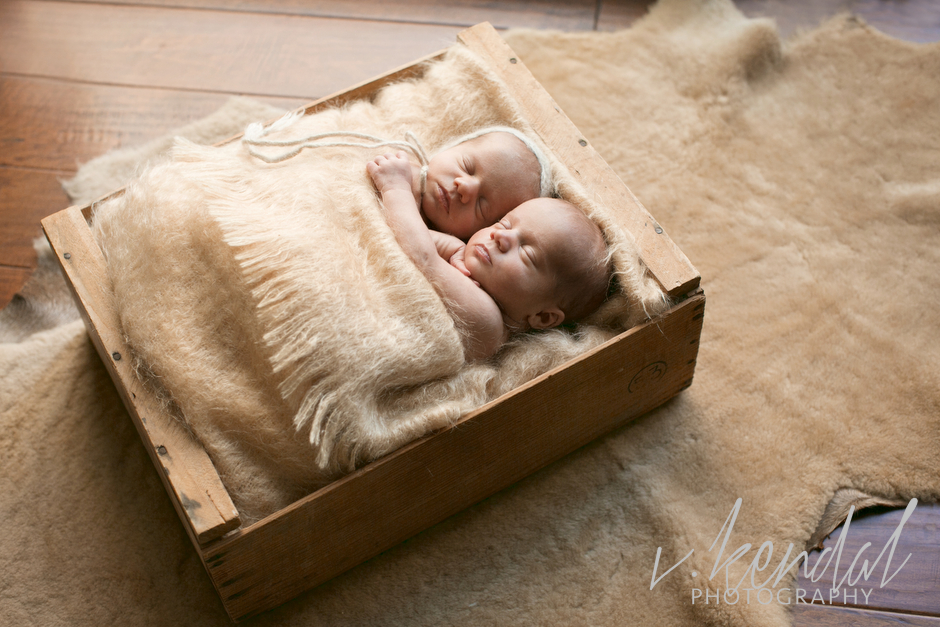 V KENDAL PHOTOGRAPHY-Los-Angeles-Newborn-Twins-Baby-Maternity-Santa Barbara 1480.JPG