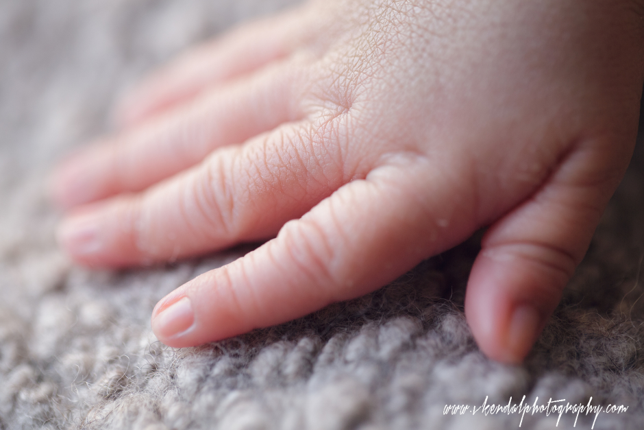 LOS-ANGELES-BABY-PHOTOS-MATERNITY-NEWBORN-PHOTOGRAPHY-VALERIE-KENDAL-V-KENDAL-PORTRAIT-STUDIO2783.JPG