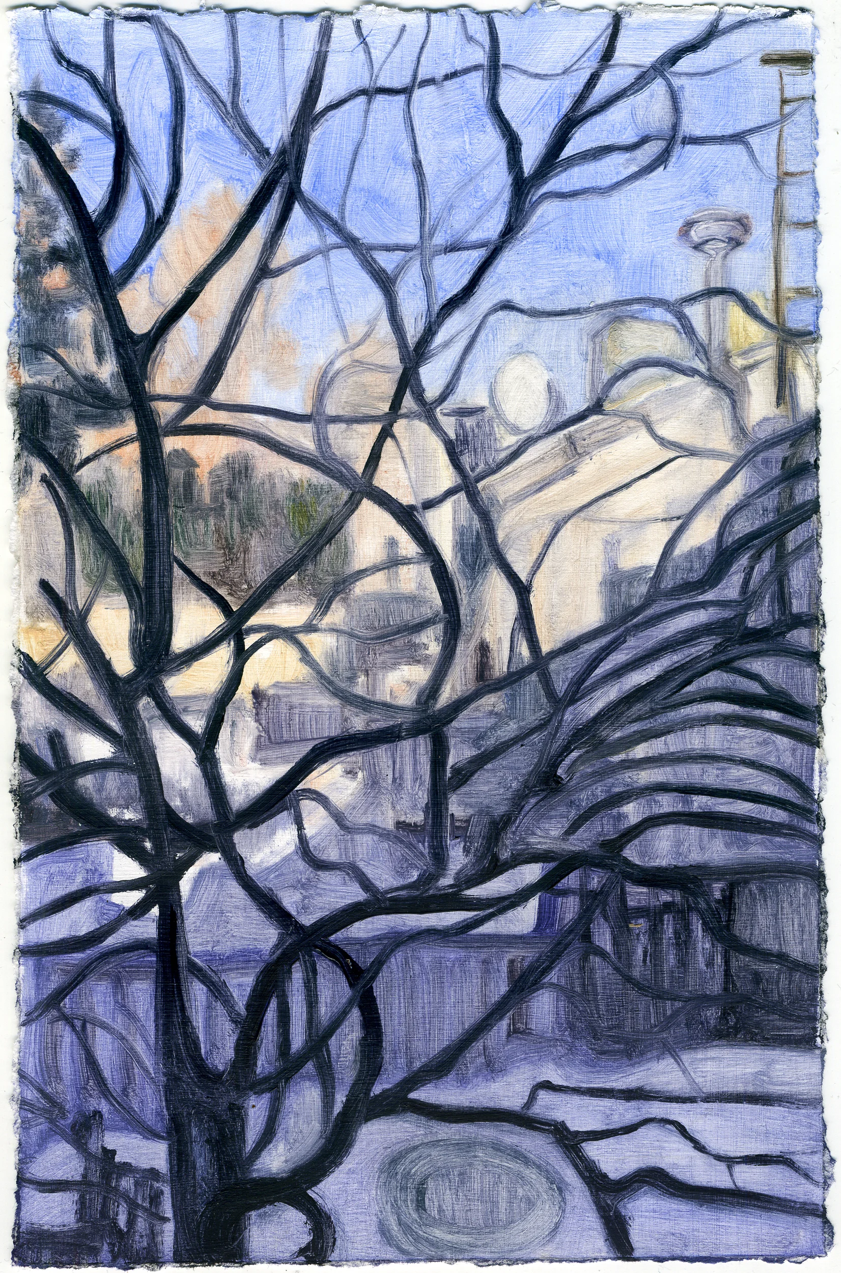 windowcoldsnapweb.jpg