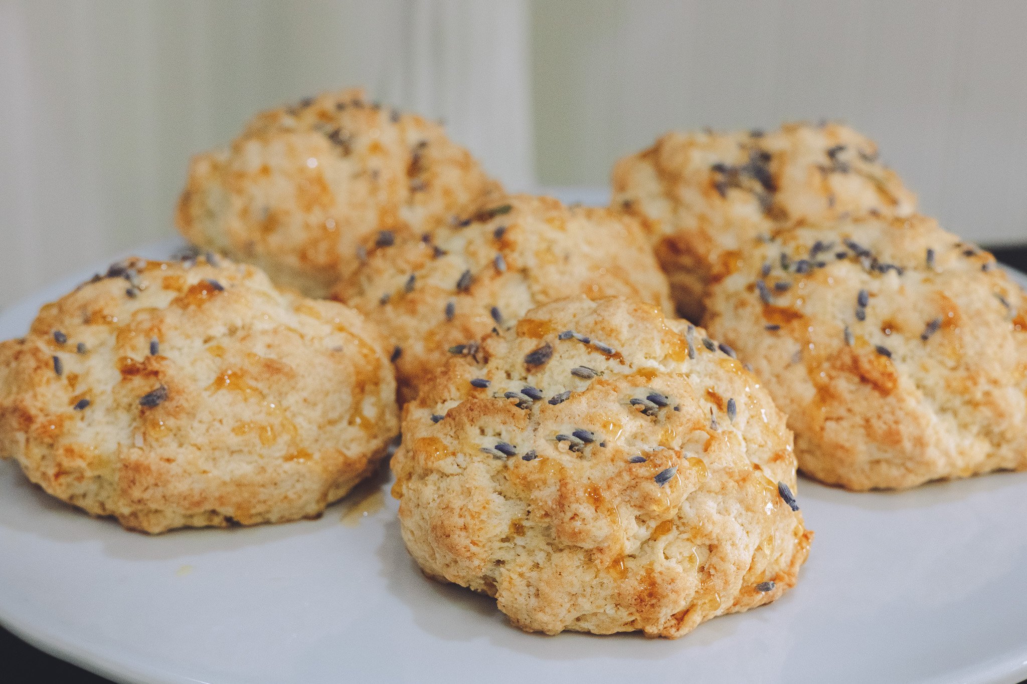 ©Benedict's Caterers 2023-1259.jpg