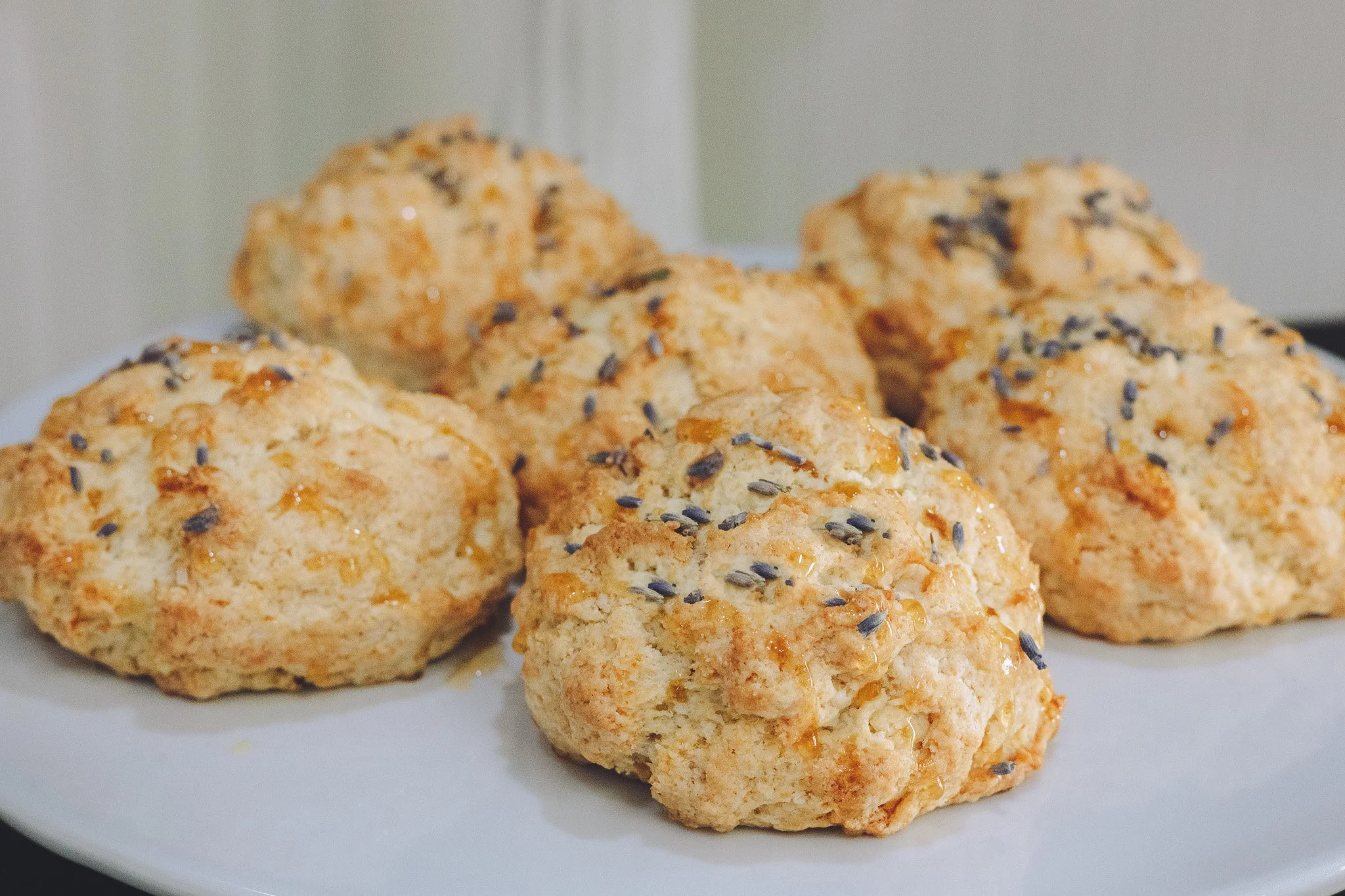 ©Benedict's Caterers 2023-1259.jpg