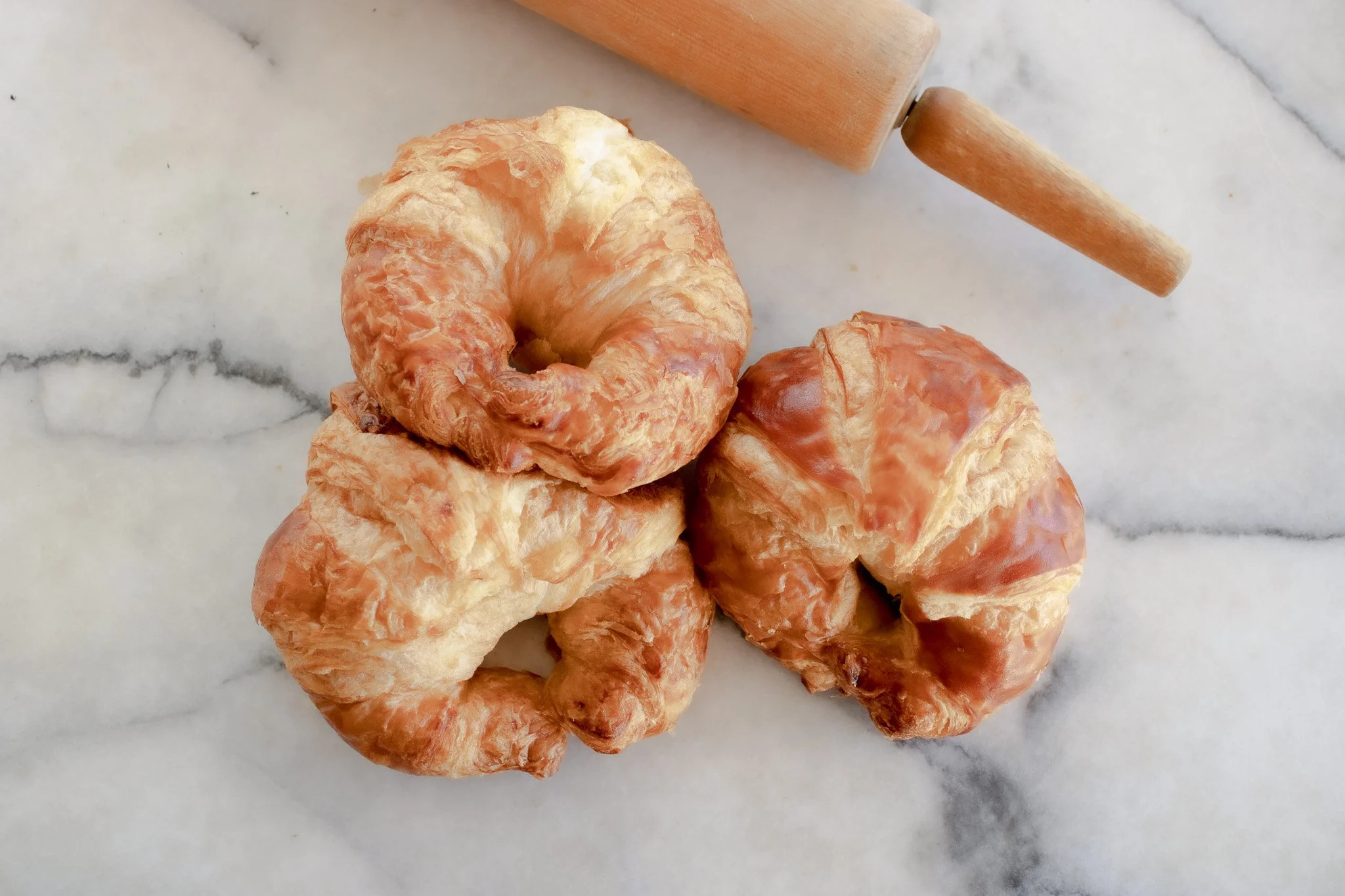 ©Benedict's Caterers 2023--13.jpg