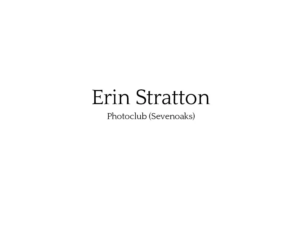 erin_stratton_01.jpg