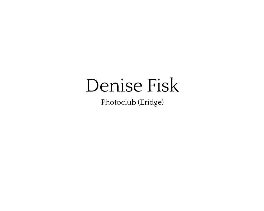 denise_fisk_01.jpg