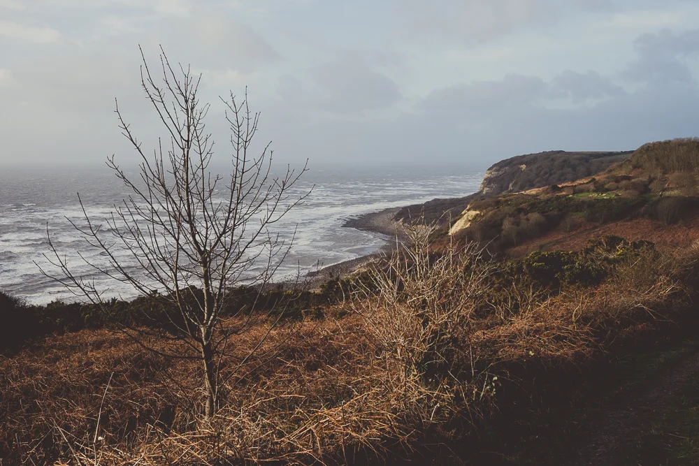 'Filmy 04' Develop Preset for Adobe Lightroom by Andrew Newson