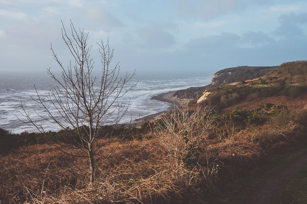 'Filmy 10' Develop Preset for Adobe Lightroom by Andrew Newson