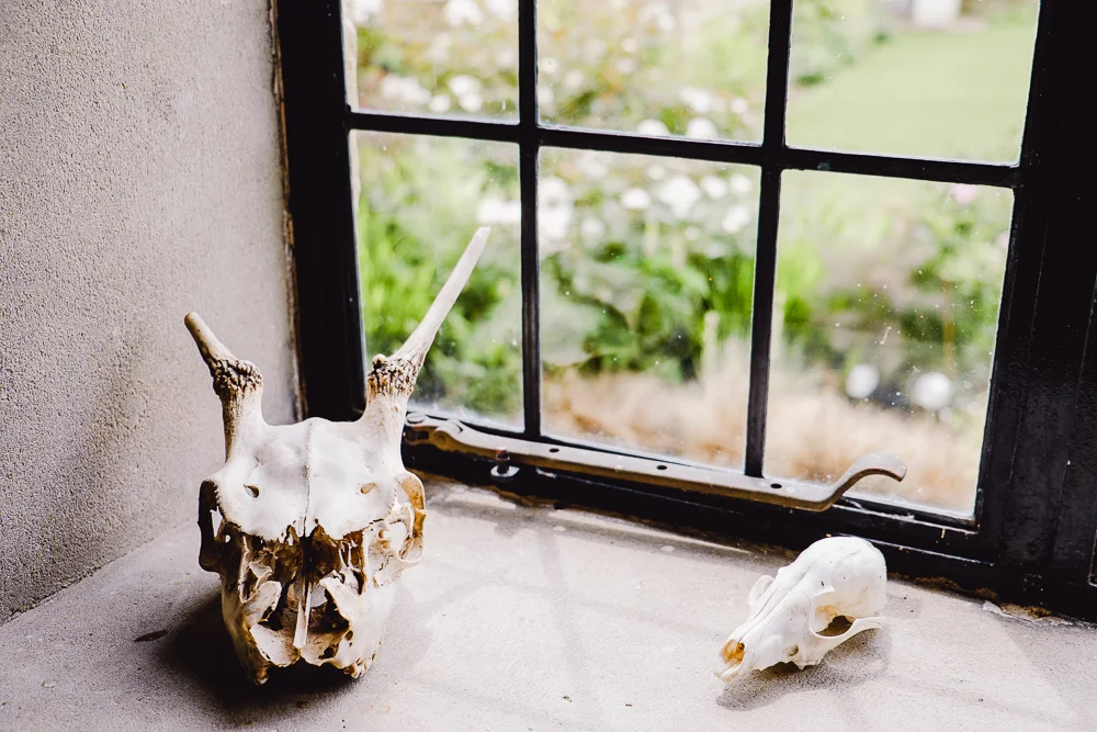 Detail shot - © Andrew Newson
