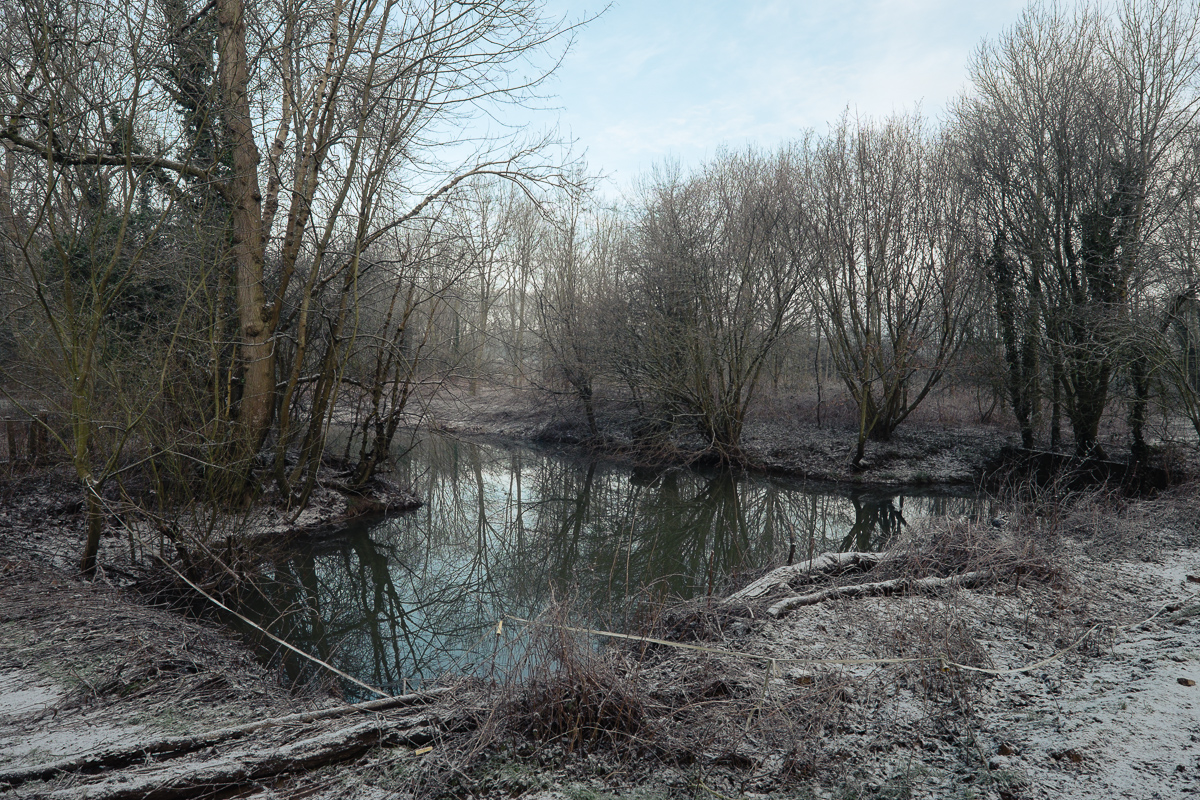 20 January 2015 © Andrew Newson