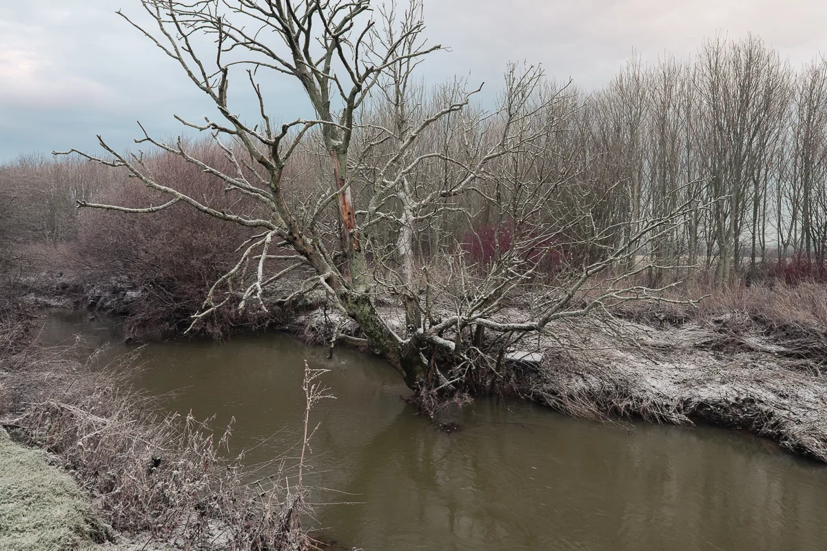 20 January 2015 © Andrew Newson