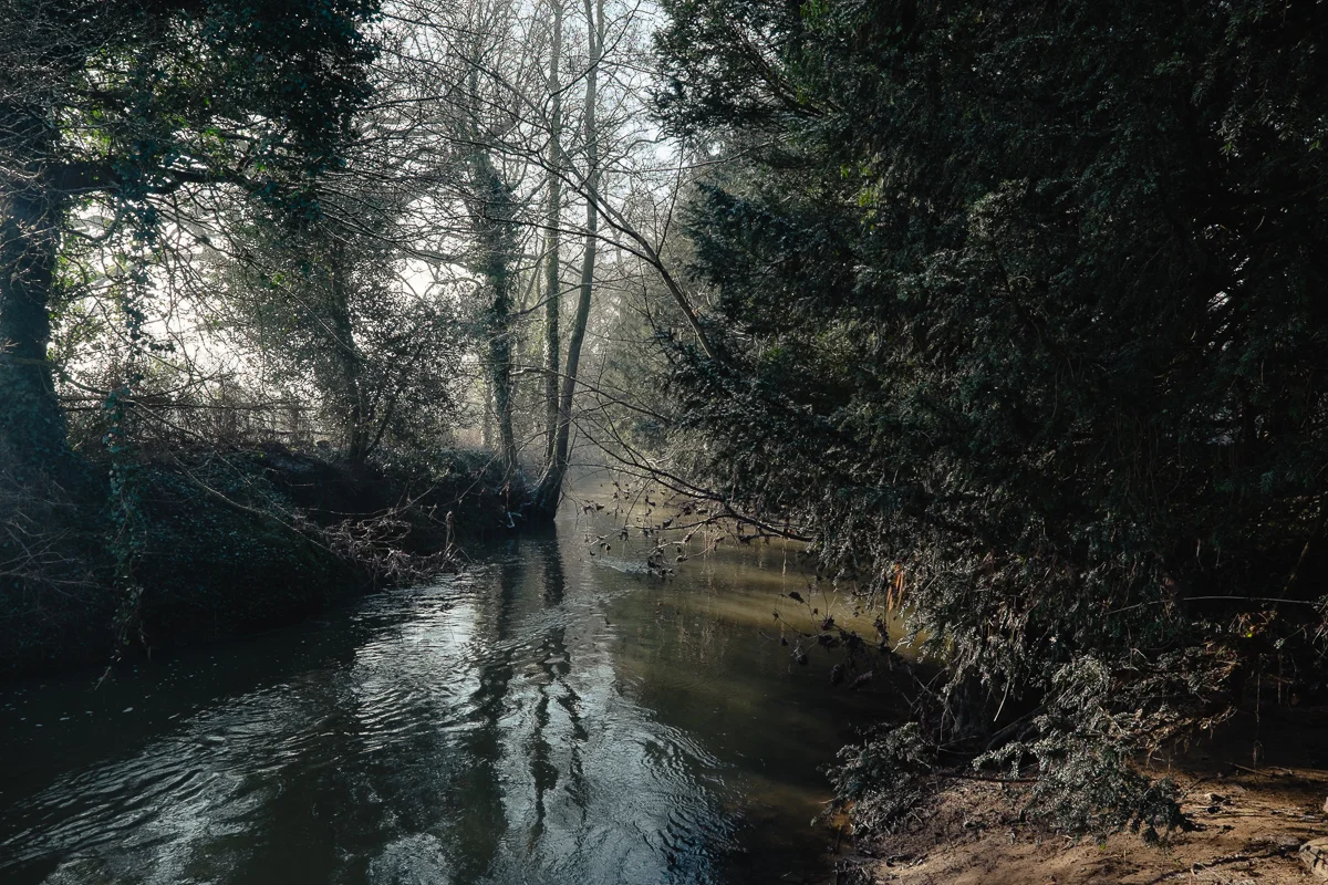 20 January 2015 © Andrew Newson