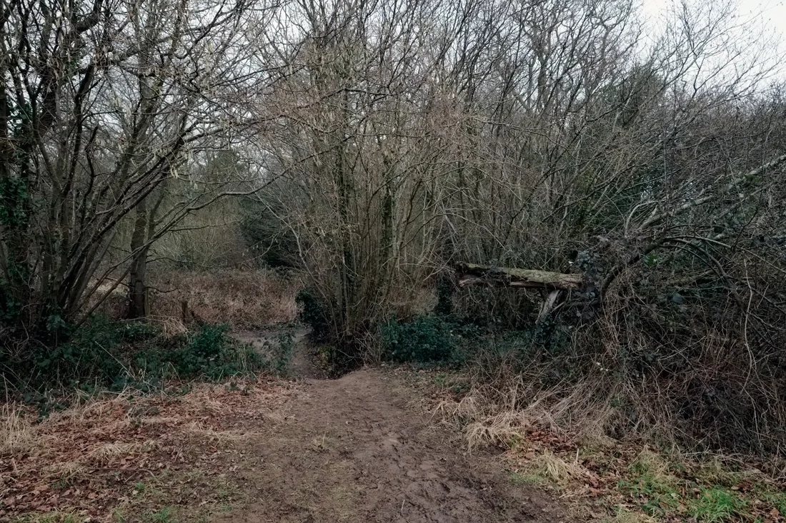 East Hoathly 19.02.2015 © Andrew Newson