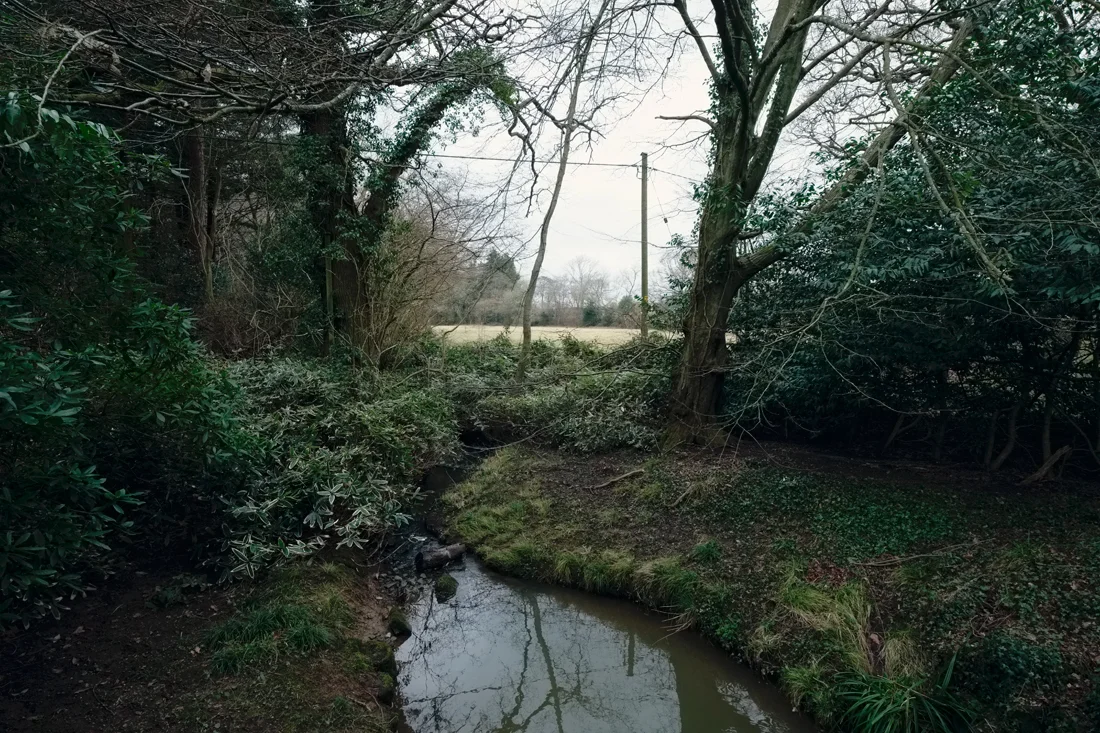 East Hoathly 19.02.2015 © Andrew Newson